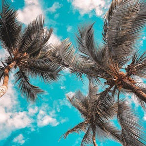 Meet your Posher, Riley